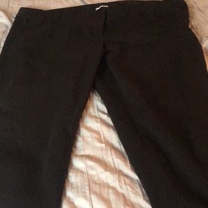Lane Bryant dress pants